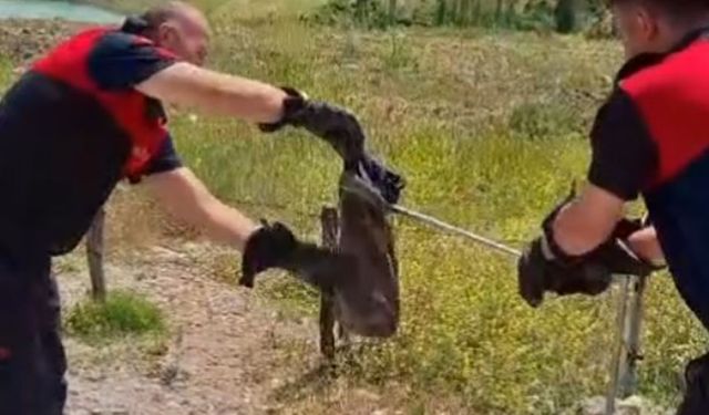 Ekipler harekete geçti.. Arazide yakalandı