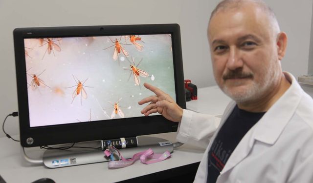Uzmanlardan 'Yakarca' uyarısı