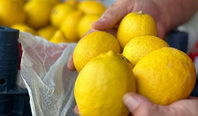 Limonun kilosu 200 TL’ye çıktı! Vatandaş şaşkın, pazarcılar dertli