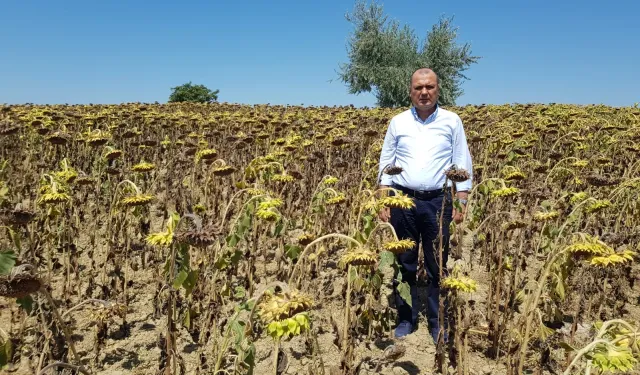 CHP Milletvekili Aygun’dan kuraklık için yasa teklifi