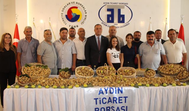 Aydın’da kuru incir 800 liraya satıldı