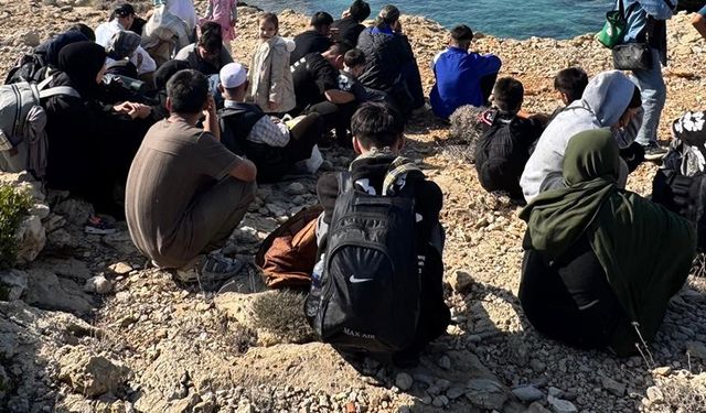 Ağaçların arasında saklanırken yakalandılar