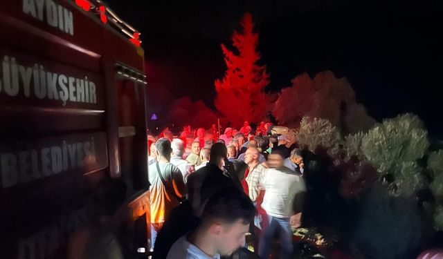 Aydın’daki yangında yeni gelişme