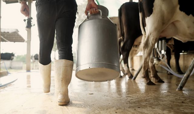 Aydın'a 66 milyon lira ödeme