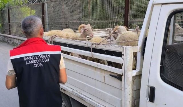Aydın’da hastalık nedeniyle yol kontrolleri başladı