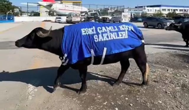 Okul sahibinden mandalı protesto