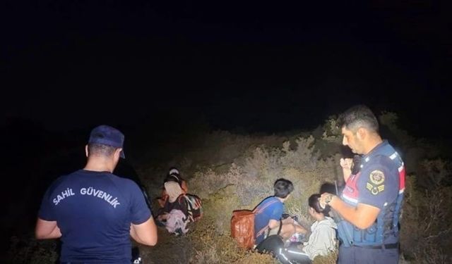 Otların arasında yakalandılar