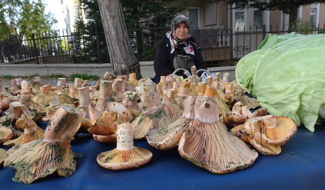 Pazar tezgahlarında melki bereketi