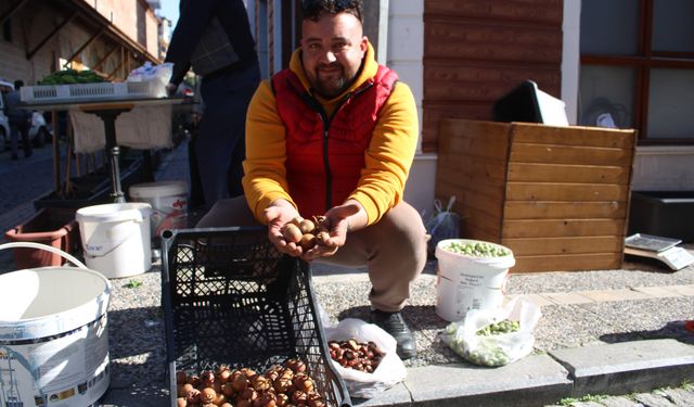 Tam bir şifa deposu..! Aydın’ın dağlarında yetişiyor