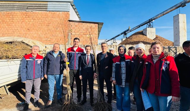 Aydın’da binlerce fidan dağıtıldı