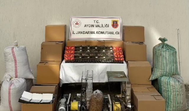 Aydın’da iki eve baskın