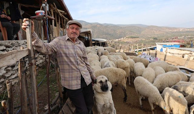 Aydın’da meralar boşaldı