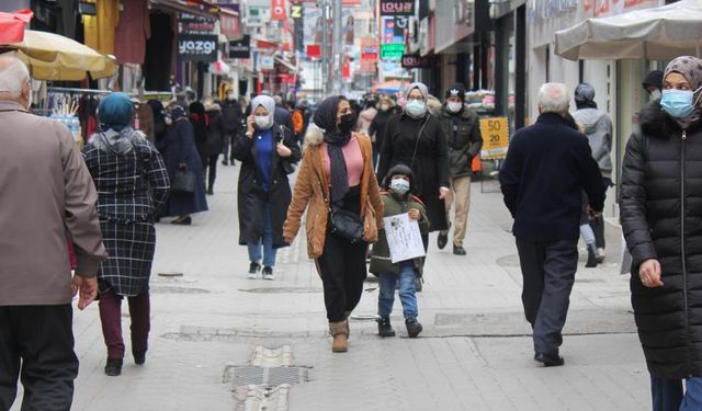 Aydın’ın 2 ilçesi il oluyor