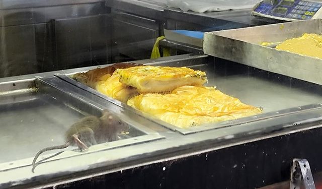 Börek tezgahlarında fare cirit attı