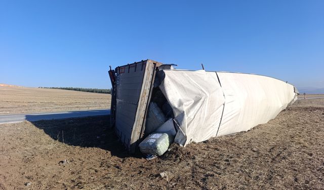 Kalorifer peteği yüklü tır devrildi