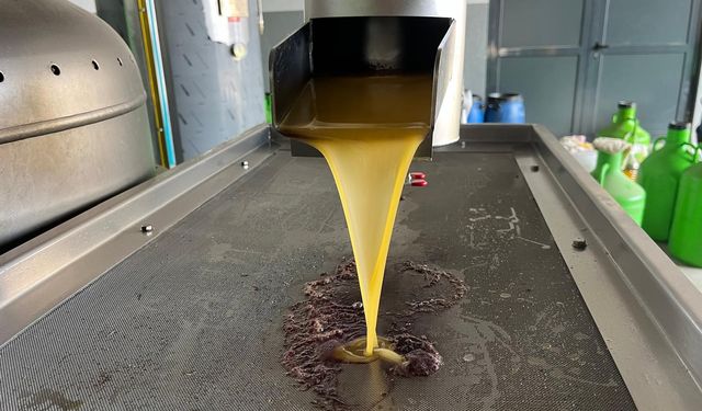 Kara meyve altın sıvıya dönüşüyor