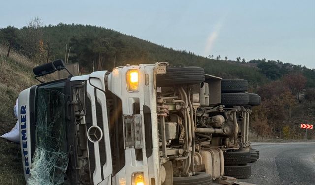 Yem yüklü tır devrildi