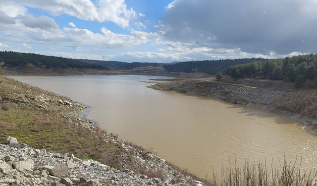 Çiftçinin yüzü güldü