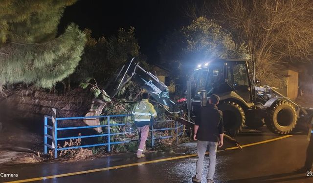 Germencik’te ağaçlar devrildi