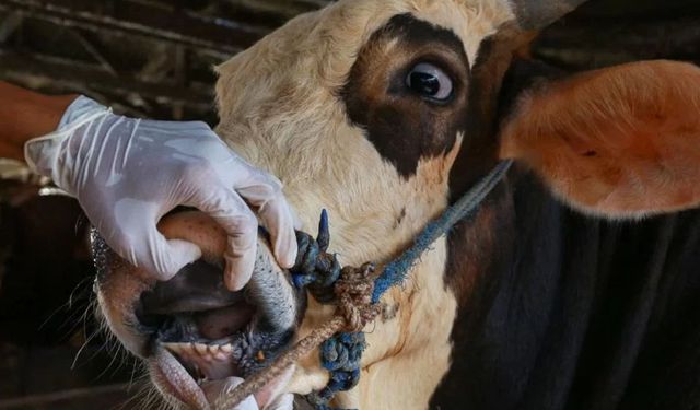 Aydın’da 8 mahallede yasak kalktı, bazı mahallelerde devam ediyor