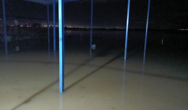 Koçarlı’da hayvan damlarını su bastı