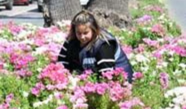 Başkan Çerçioğlu’ndan turizmin göz bebeği Didim’de Ramazan Bayramı öncesinde hummalı çalışma