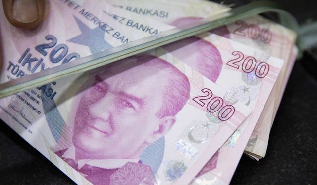 Çine’de zeytinlik ve besi damı icradan satışa çıkarıldı