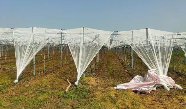 Dolu korkusuna fileli önlem