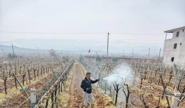 Ölükol hastalığı için alarm durumuna geçildi