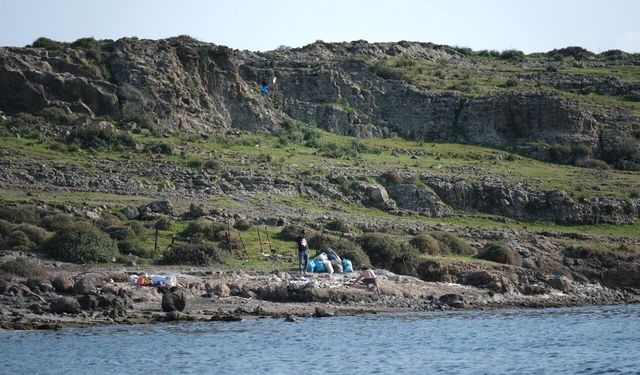 Tilkişen otu toplamaya gittiler, neler buldular neler!