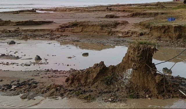 Aydın’da fırtına sonrası kemikler ortaya çıktı, inceleme başladı