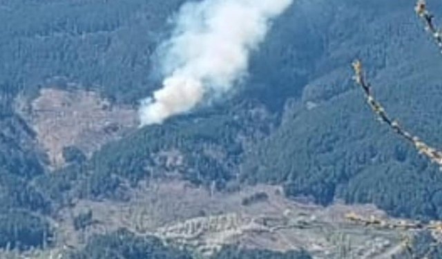 Aydın’da orman yangını çıktı