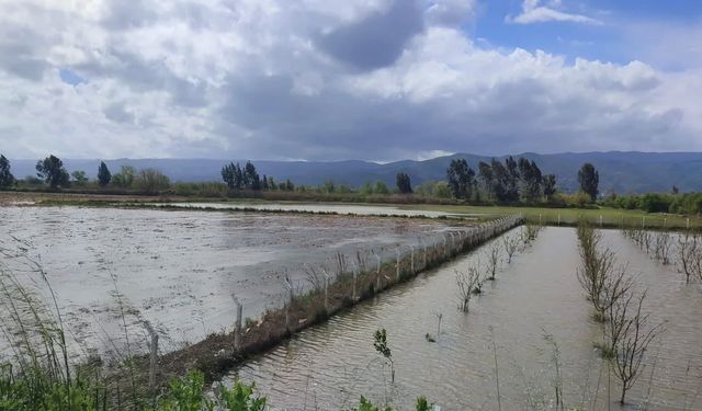Aydın’da tarım arazileri sular altında kaldı