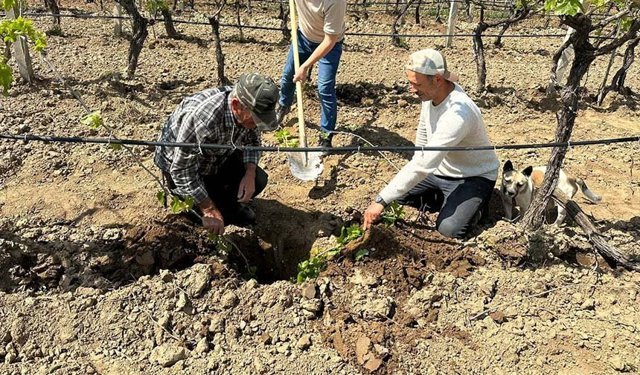 Bağlar yakın takibe alındı