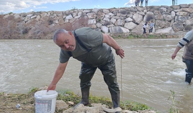 Gören inanamıyor! Yıllardır kurak olan çayda şaşırtan manzara