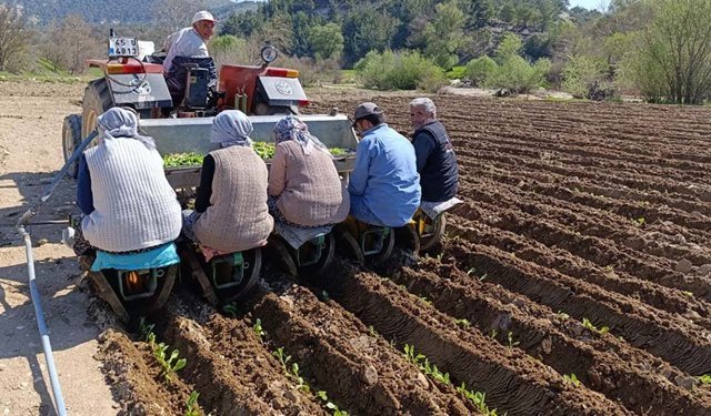 Günlük 1400 liraya çalışacaklar