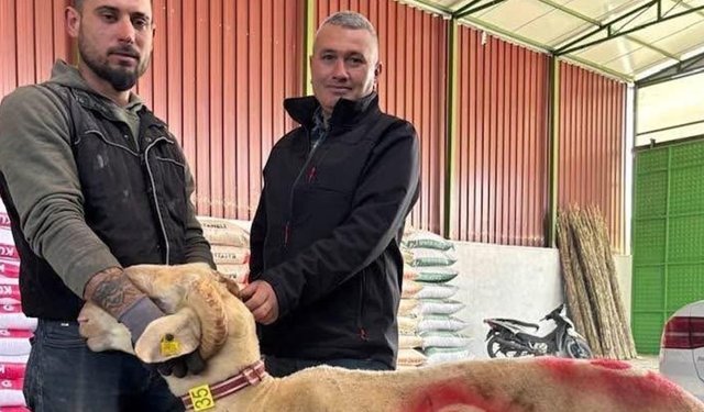 Kurbanlık pazarı hareketlendi