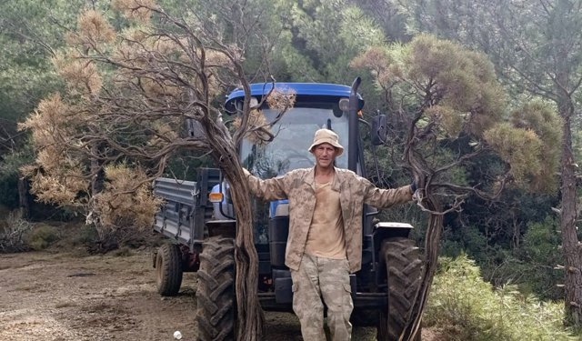 Kuru geven bitkisi köylünün gelir kaynağı oldu