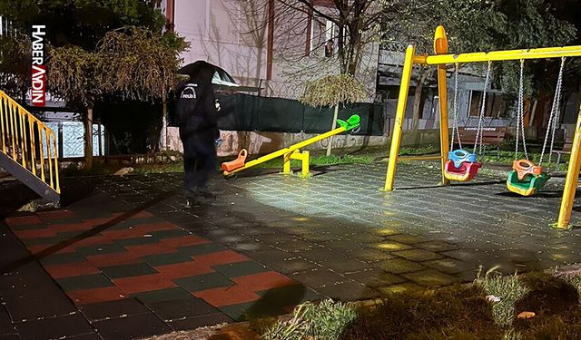 Parkta oynayan 2 yaşındaki çocuğu yaraladı