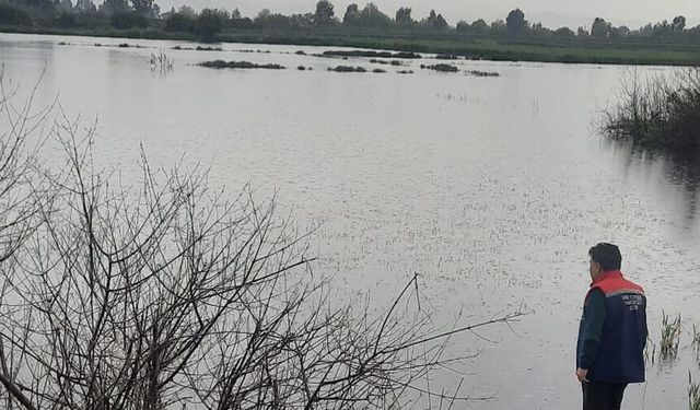 Söke’de zarar büyük