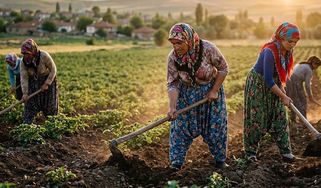 Aydın dikkat, fiyatlar belli oldu: 1300 TL yevmiye ile çalışılacak