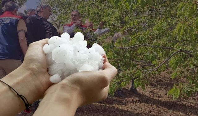 Aydın’ı dolu vurdu, tarım arazileri zarar gördü