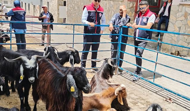 Bozdoğan'da kurban satış yerleri denetlendi