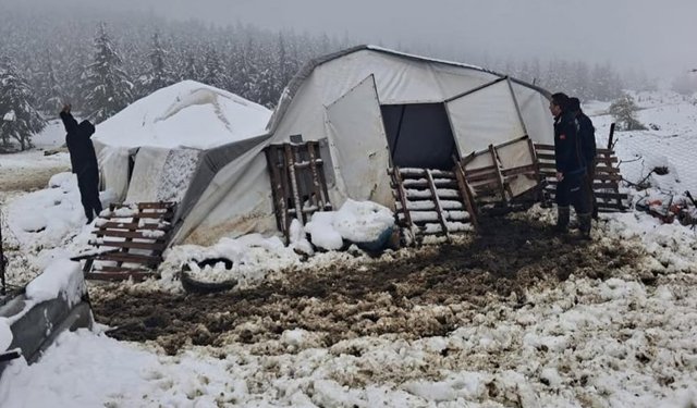 Çadır çöktü, 5 küçükbaş mahsur kaldı