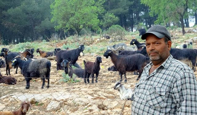Kurbanlıklar 20 bin liradan başlıyor