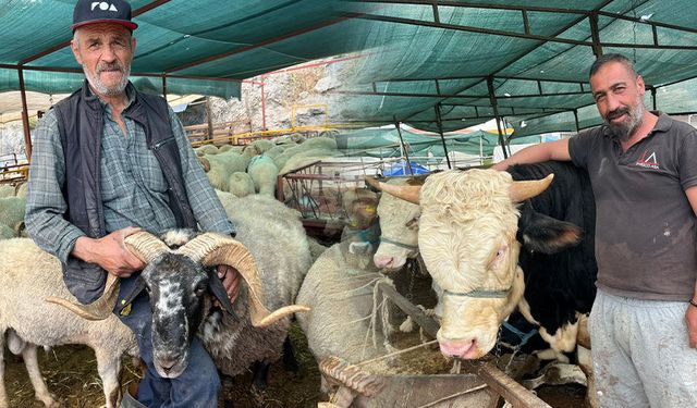 Kurbanlıkların yanına yaklaşılmıyor