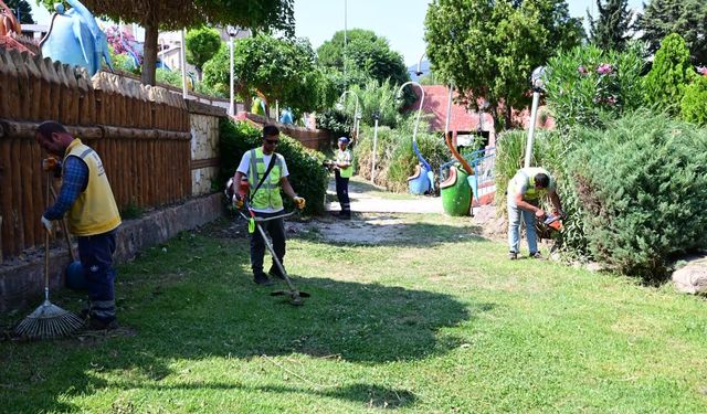 Çerçioğlu çalışıyor, Aydın çiçek gibi oluyor