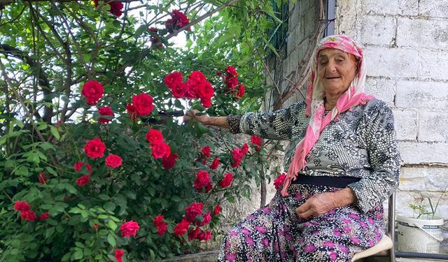 Aydın’da 90 yaşındaki kadın darp edildi, yaşam savaşı veriyor