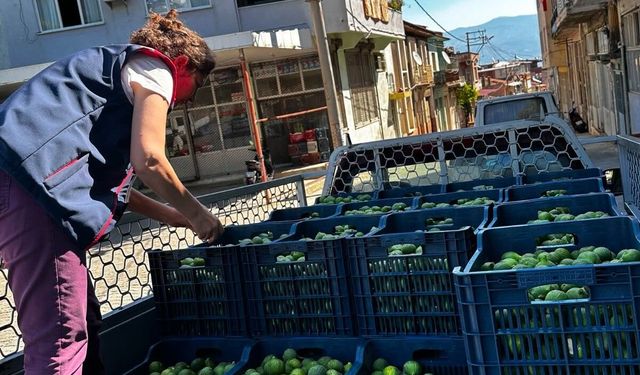Aydın’da ekipler ilek pazarında