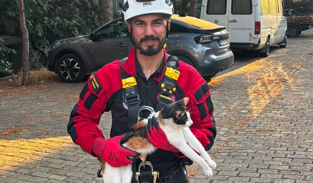 Aydın’da mahsur kalan kedi kurtarıldı
